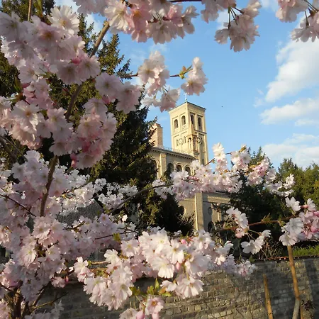 Hostel Quartier Sanssouci *