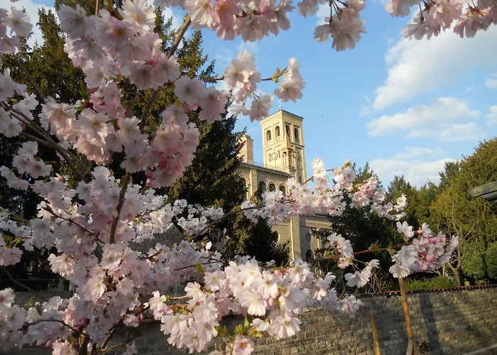 Hostal Quartier Sanssouci *